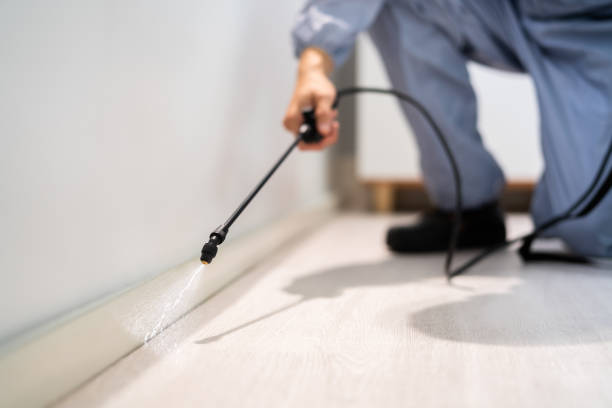 Licensed Pest Control service in Rosedale, LA - Show Me Pest Control