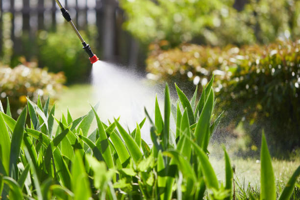 24/7 Emergency Mosquito Control experts in Rosedale, LA